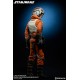 Star Wars Action Figure 1/6 Luke Skywalker Rogue Group Snowspeeder Pilot (Episode V) 30 cm